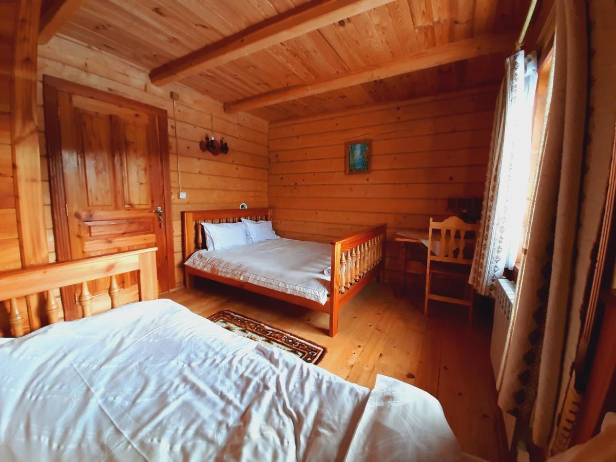 Зубровиця Bukovinka Ngoại thất bức ảnh